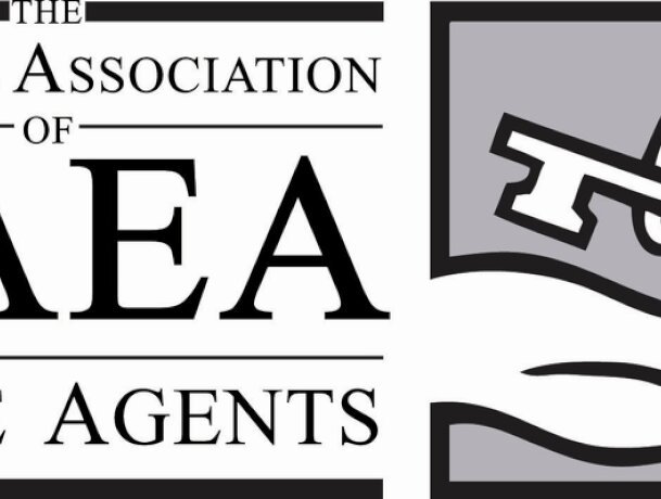 NAEA doesn't believe agents are to blame for HIPs problems